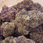Buy Blueberry Cheesecake at The High Times Dispensary Thailand