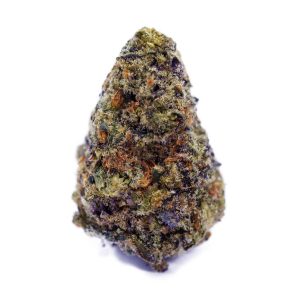 Buy Laughing Buddha at the High Times Dispensary Thailand