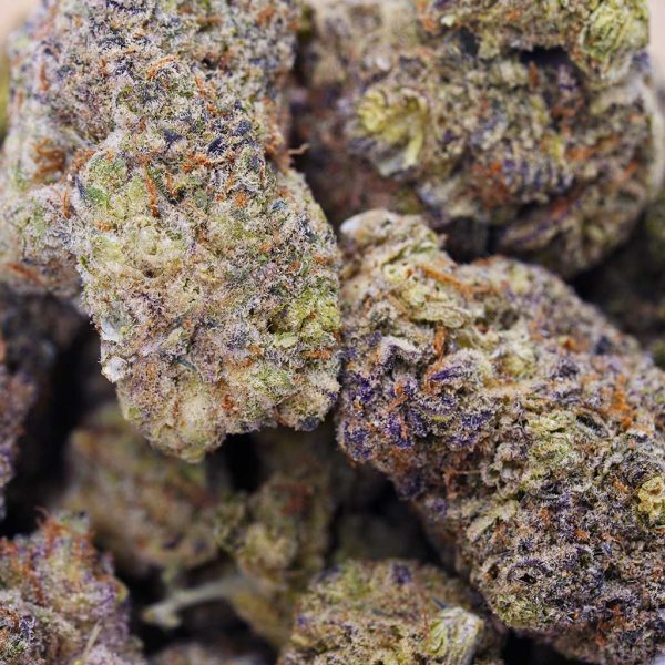 Buy Apple Fritter at the High Times Thailand Dispensary