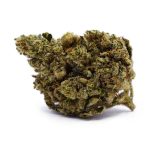 Buy Jack Herer at The High Times Cannabis Dispensary