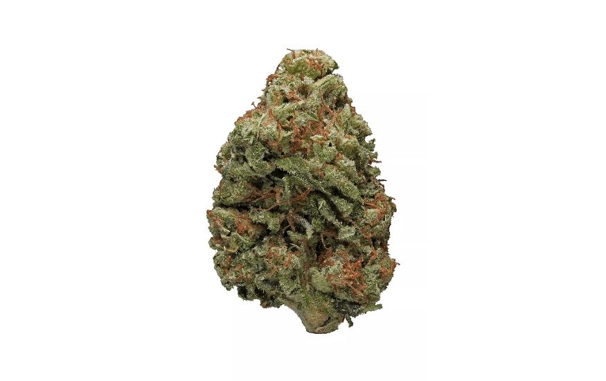 The sweet and fruity flavor is a perfect blend of berry and strawberry with a subtle diesel taste that adds a touch of earthiness.