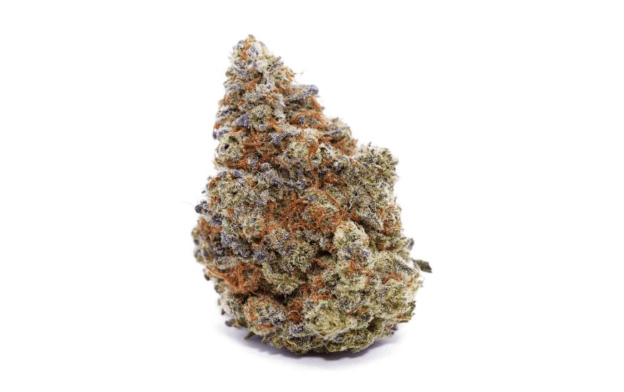 Just in! Check out Banana OG, a delish Indica strain available at our weed shop in Bangkok. Banana OG is an Indica-dominant hybrid, with a composition of 70 percent Indica and 30 percent Sativa. 