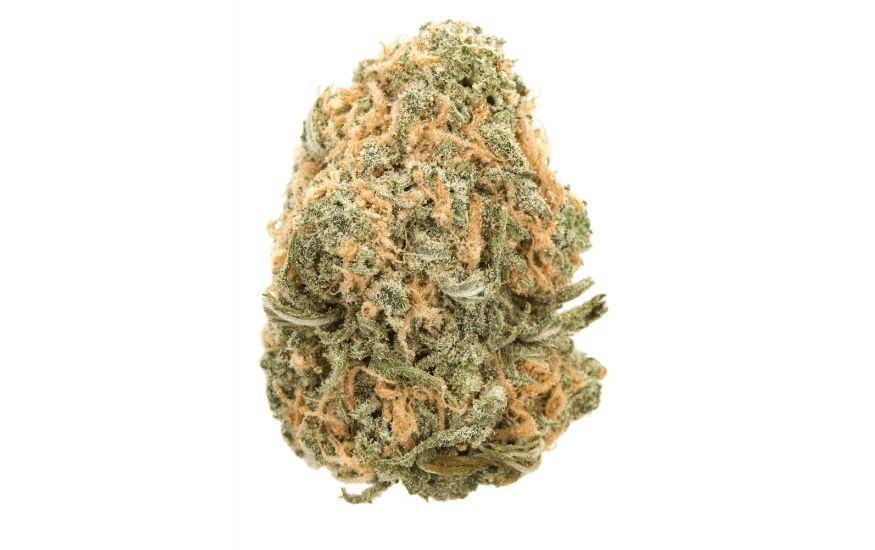 The THC content of the Blue Dream weed is undoubtedly one of its most significant selling points. 