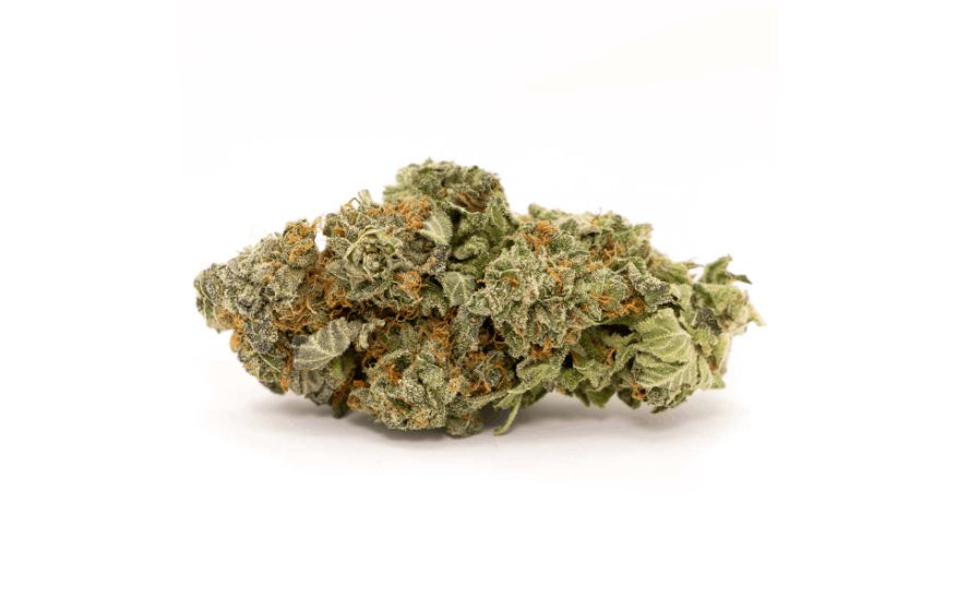 Combined, the two parents create a unique aroma and flavor that distinguishes the Bruce Banner strain from other buds.