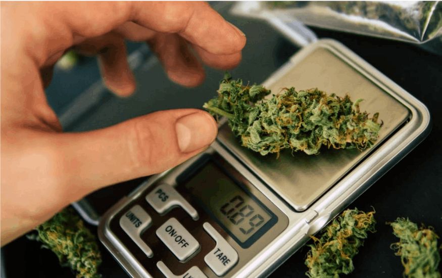 What should you do? Buy bud online or visit a weed shop? When it comes to purchasing your desired bud, the age-old debate of online shopping versus brick-and-mortar stores arises. 