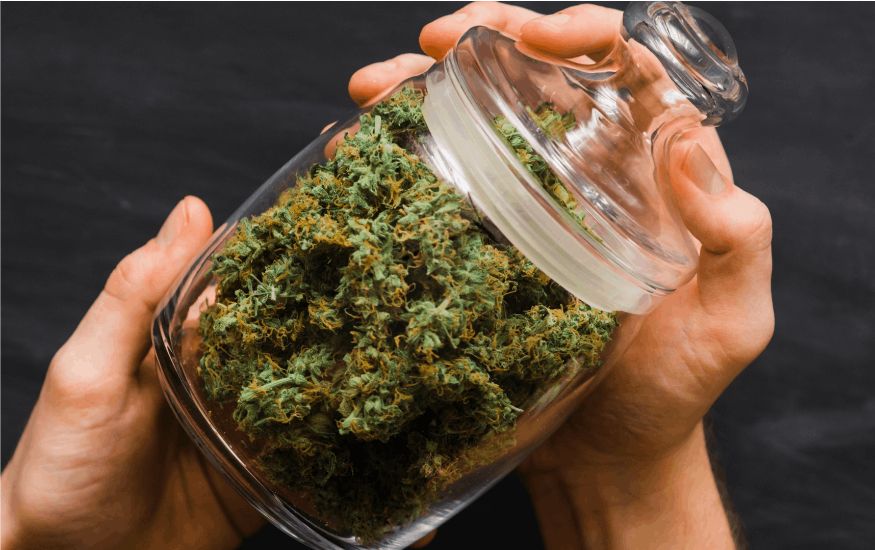 Now that you know how to buy weed online, let's discuss why the High Times is the best place for all of your canna needs.