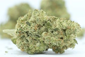 The Gelato weed strain is one of the most popular in Thailand, and elsewhere around the world. You’re in for a treat if you’re new to smoking weed and haven’t had an opportunity to enjoy this strain yet. 