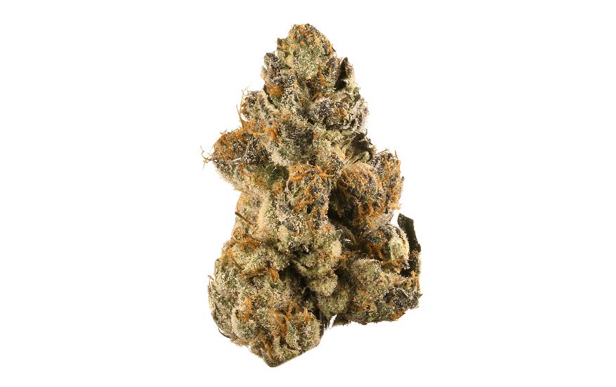 Gelato weed is incredibly potent. This is the perfect strain if you’re looking for something that will knock your socks off. 