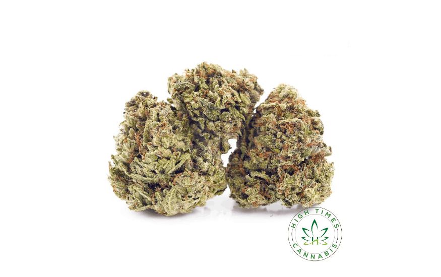 The Green Crack (AA) is a great option for cannabis users who are searching for an alternative to the popular Blue Dream strain. 