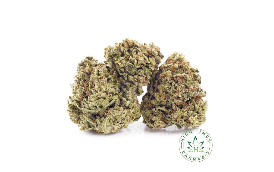 We know— the name is a little dramatic, but trust that this strain is aptly named. Green Crack is an incredibly potent hybrid with 16% to 19% THC. 