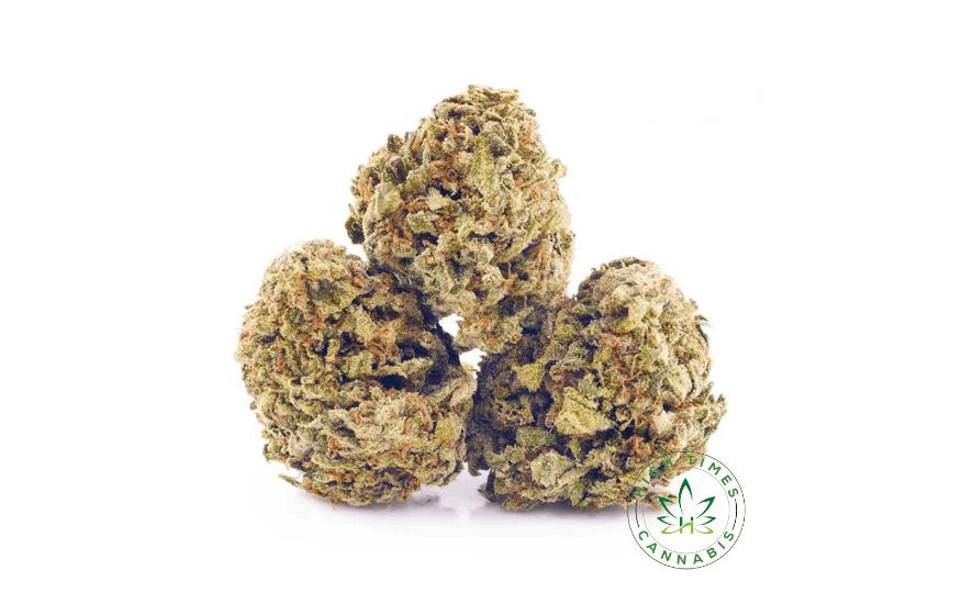 If the Blue Dream strain feels too strong for you and you want to enjoy a bud with a milder high, Jack Herer (AA) is the answer.