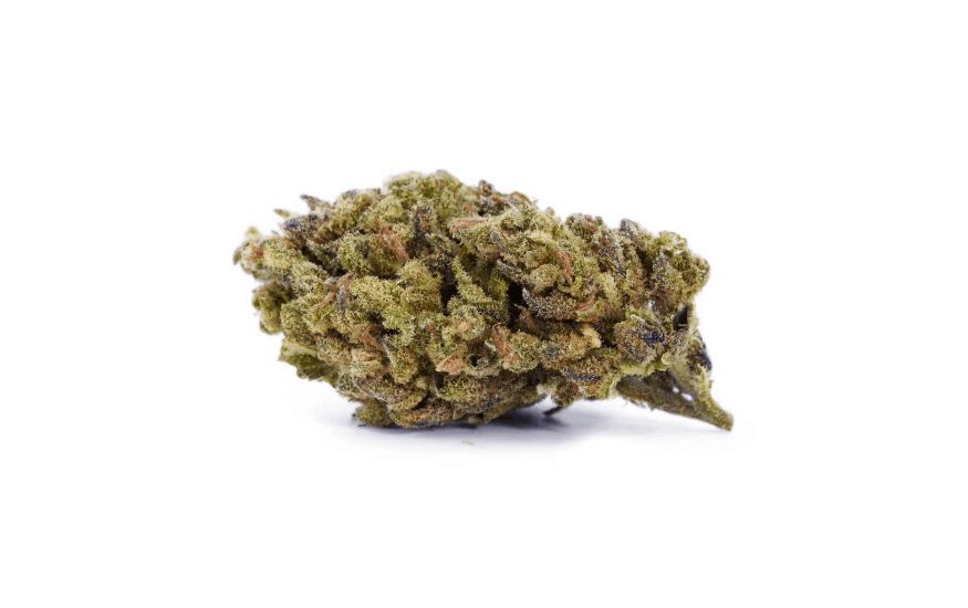The Mango Haze offers the best of both worlds with its even blend of Indica and Sativa genetics. 
