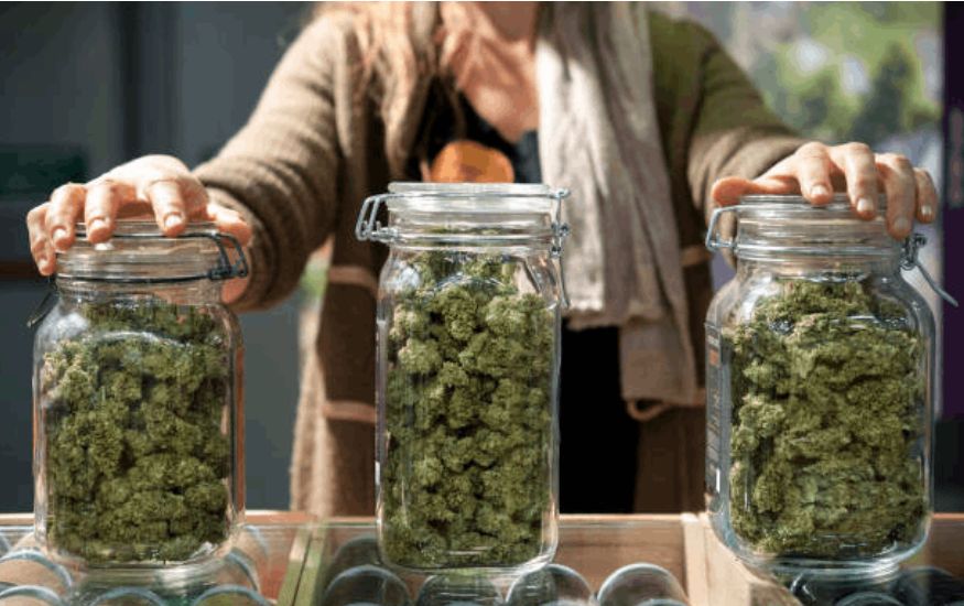 What is better, buying weed from an online dispensary or visiting your local pot store? Honestly, both are a good idea! 