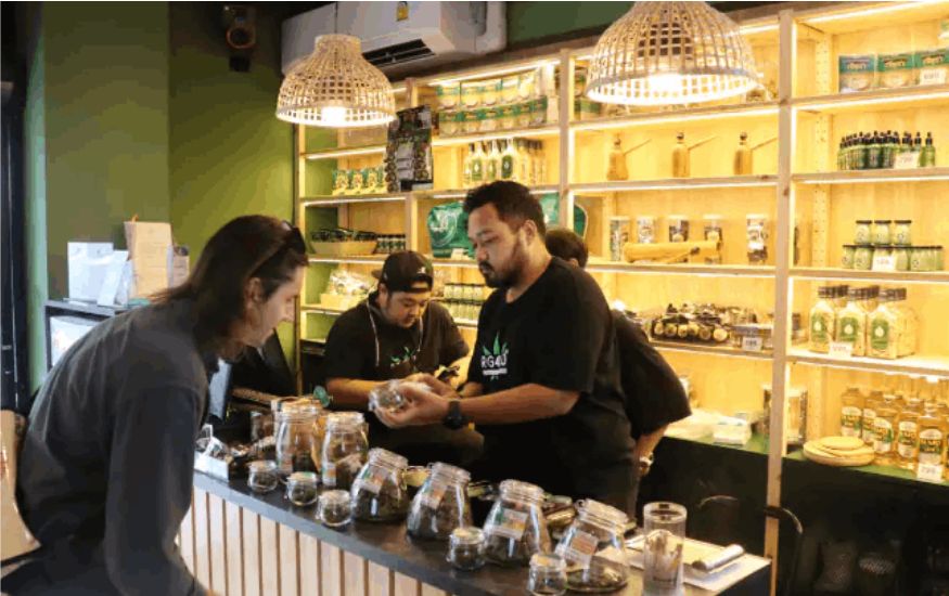 In a nutshell, here are five compelling reasons why you should visit a weed cafe in Bangkok today: