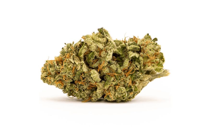 White Widow strain is quite potent and is best reserved for people with higher tolerance thresholds. That said, if you’re new to smoking weed yet would still like to try this strain, go on ahead.