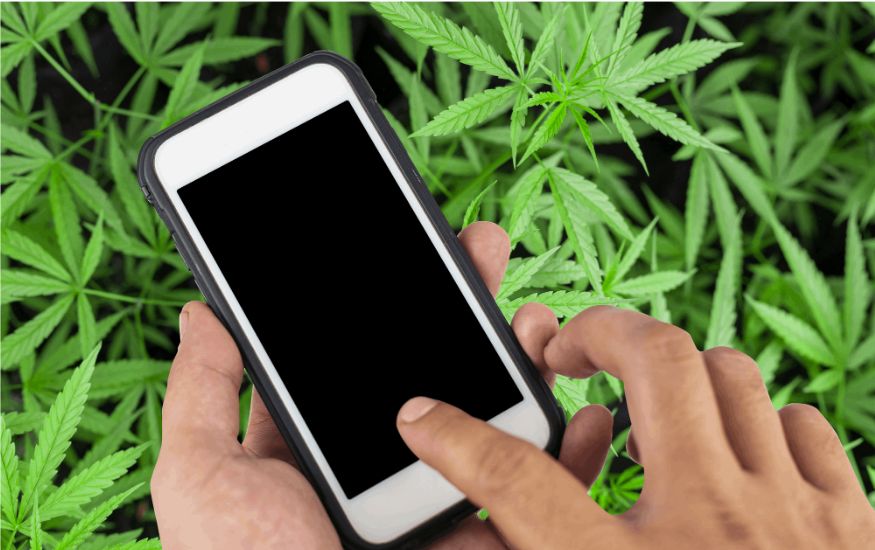 As mentioned earlier, there are potential risks to buying weed online in Thailand. As such, you can take steps to ensure you have the best experience purchasing from an online Thailand Dispensary.