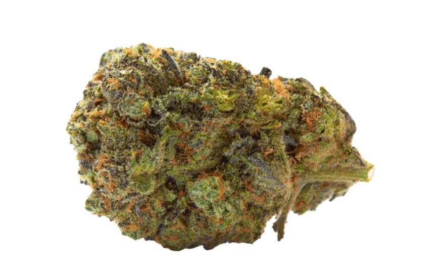 When most people try Gelato weed for the first time, the first thing they notice is its sweet, dessert-like flavour, a fete it gets from its parent strains.