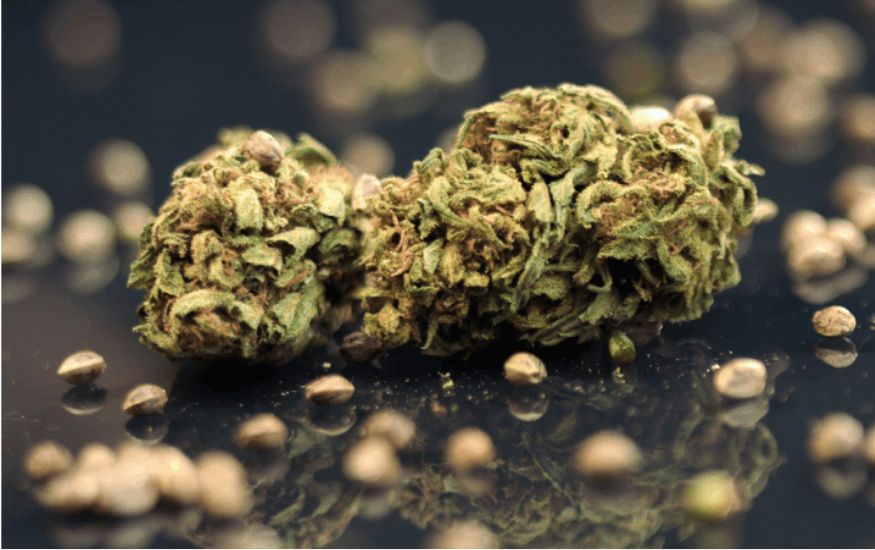 Top sativa strains are known for their energetic and uplifting high. Their effects are cerebral and are said to enhance creativity and productivity.