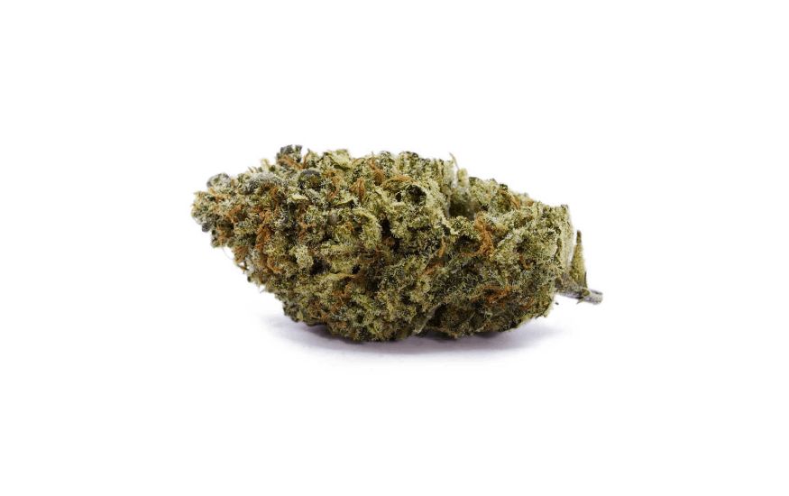 Buy weed online at The High Times Thailand and get this premium Casey Jones bud at the lowest prices in the country.