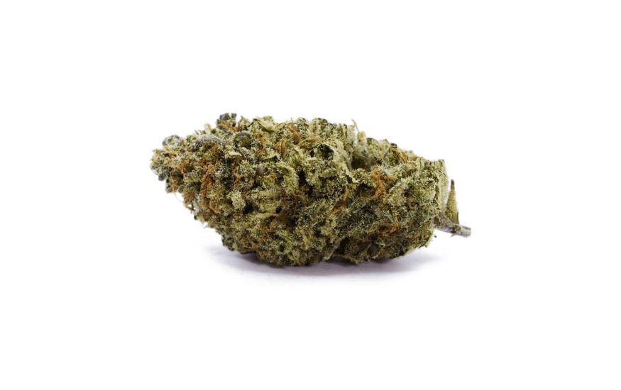 As you know by now, you need to start with a potent strain. For example, stoners recommend the Sativa dominant powerhouse, the Casey Jones strain. 