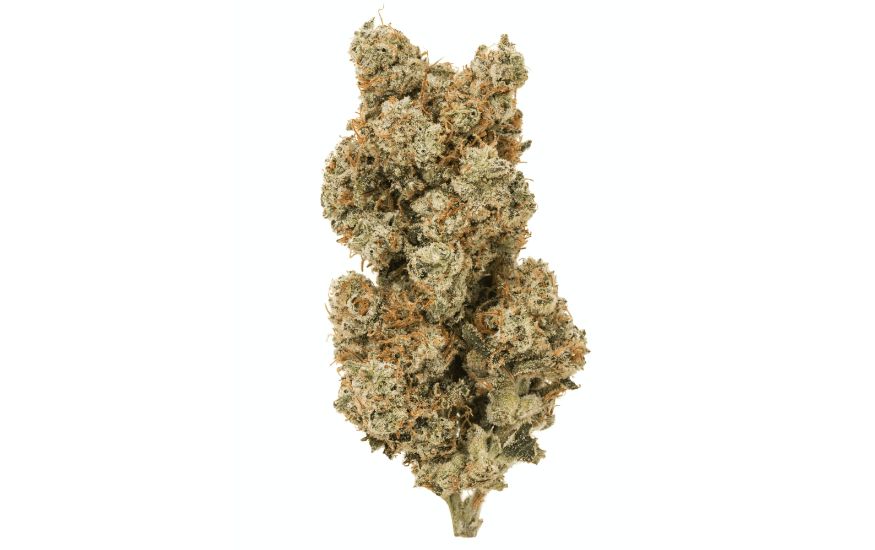 This strain has a soothing effect on the consumer’s mind and body, allowing the smoker to unwind and experience a tranquil state of being. Want to reach Nirvana? Just smoke some White Widow.