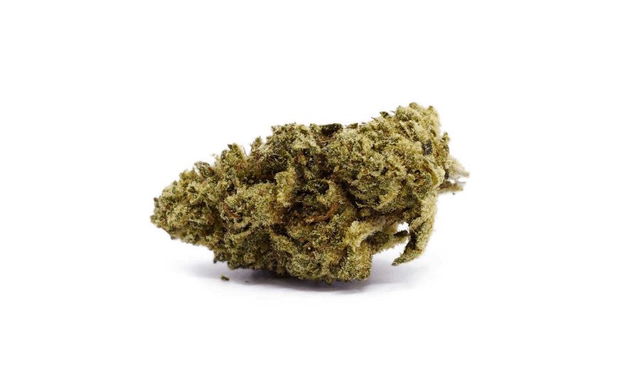 With 420 delivery, you can taste the iconic Granddaddy, an Indica hybrid with up to 26 percent of THC. 