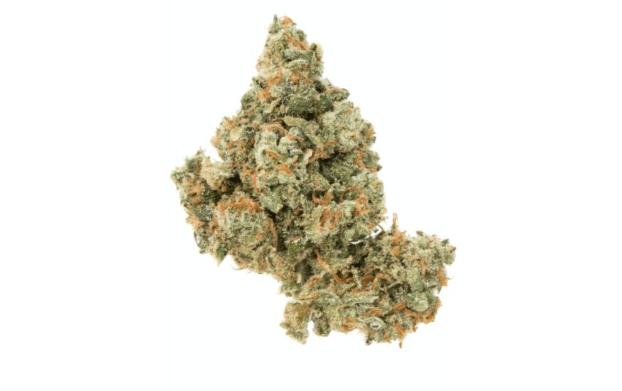 As mentioned before, the Jack Herer strain is your ticket to a potent, memorable high. Sure, you could try it at your favourite weed cafe, but consider getting some for your own private enjoyment.