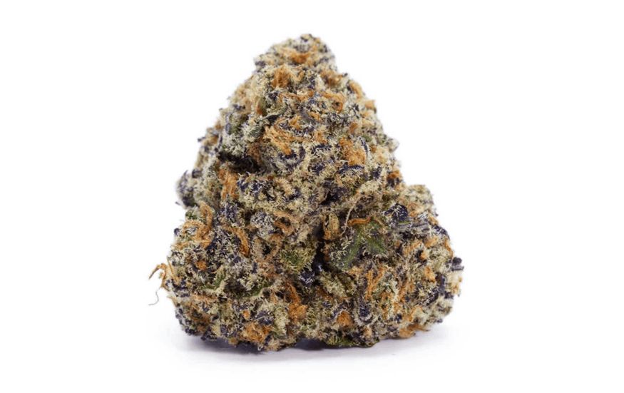 For pot users seeking an ultra-rare Indica strain, the Khalifa Mints strain is a hidden gem waiting to be discovered. And fortunately, you can find this mythical strain at the High Times, the best place to buy weed online.