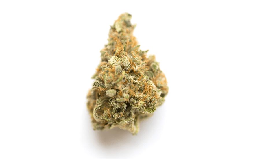 Mandarin Cookies strain is a well-known sativa-dominant hybrid that will leave you blissful and euphoric.