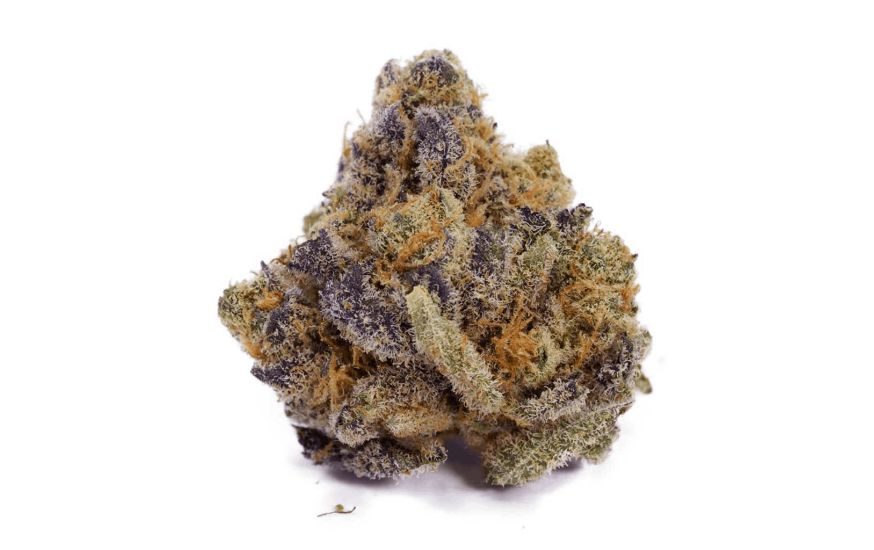The Pineapple Express - a name that rings a bell for anyone who's a fan of Seth Rogen movies or simply appreciates legendary cannabis products. 