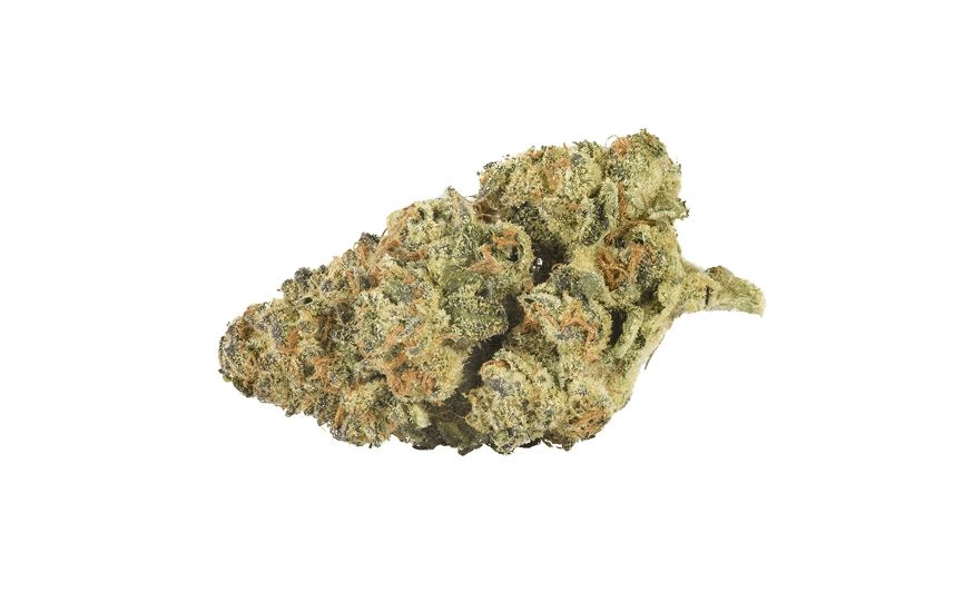You can add the Mandarin Cookies strain to your list of favourites if you’re a medical marijuana user. 