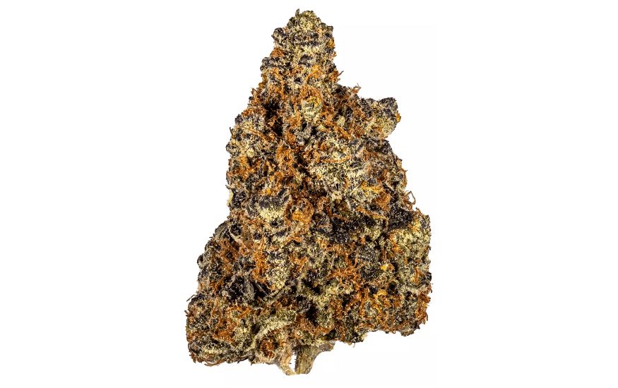 The Mandarin Cookies strain has a unique aroma and taste that sets it apart from other cannabis strains. 