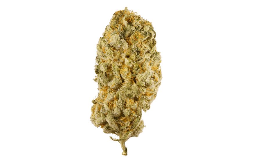 Jack Herer, is not just a man, but a lifestyle, a testament to the leaf, and now, a superb Sativa strain that holds his name high in the aromatic smoke clouds. 