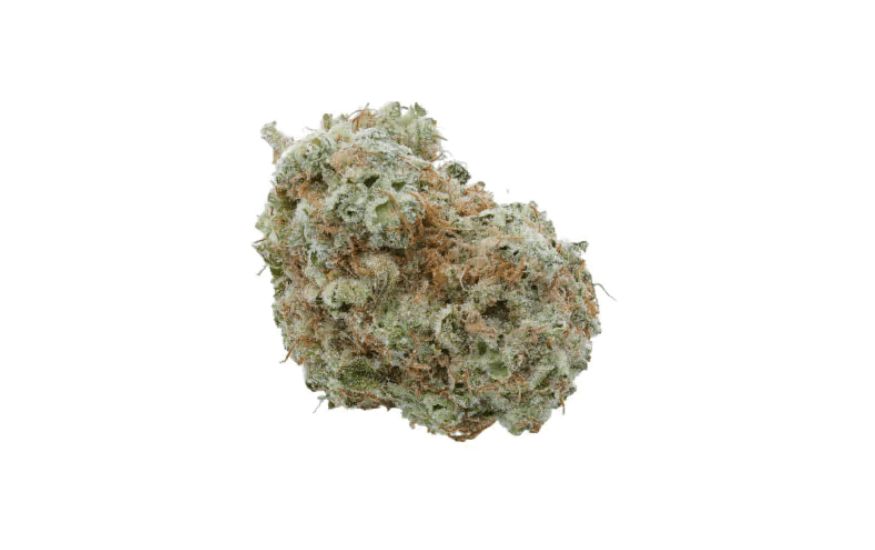The White Widow strain might be the most potent hybrid you’ve ever tried! In some cases the percentage can go up to 25 or more! 