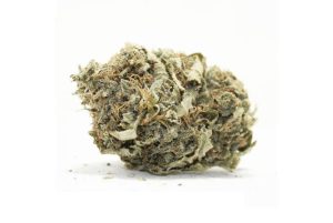 Originating from the Netherlands, the White Widow strain quickly gained popularity around the globe, and its influence has made its way to the exotic cannabis markets of Thailand. 